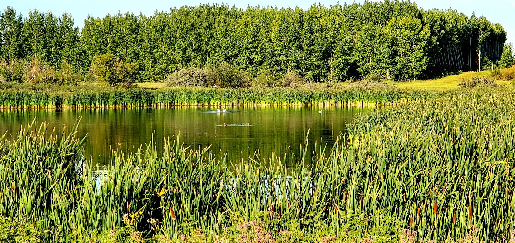 Park_Pic-20200824_085358