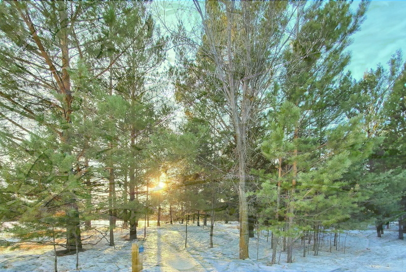 1920-1280-park_picture