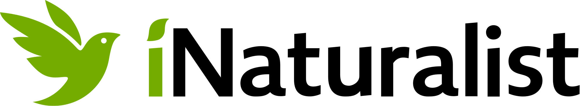 1419-originaliNaturalist-min